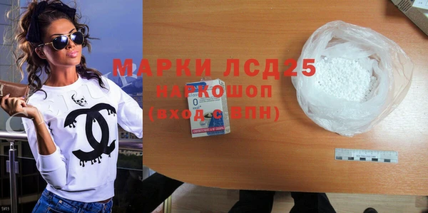 хмурый Алексин